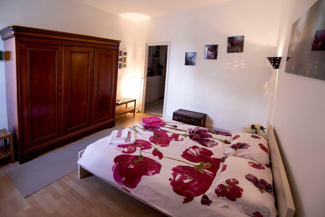 Maison Toulousaine Avec Jardin Toulouse Luaran gambar